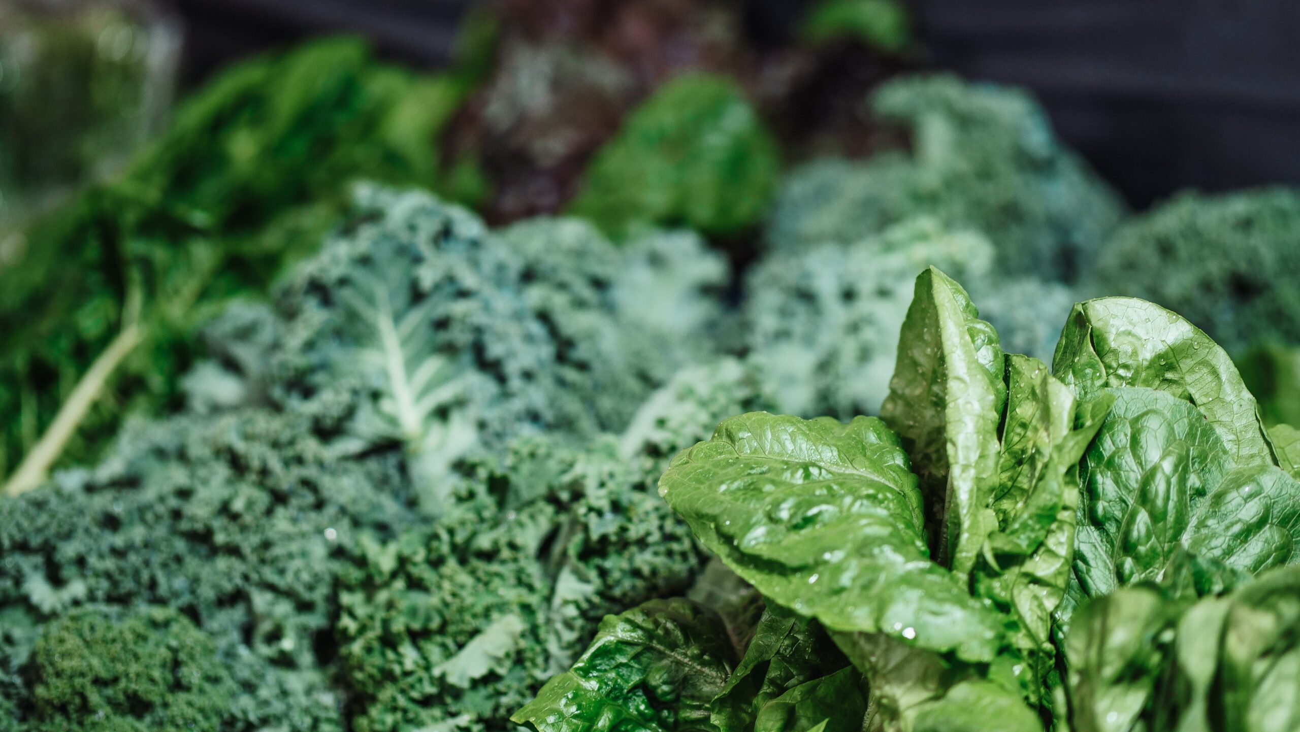 Kale Leafy Green Vegetables for Health