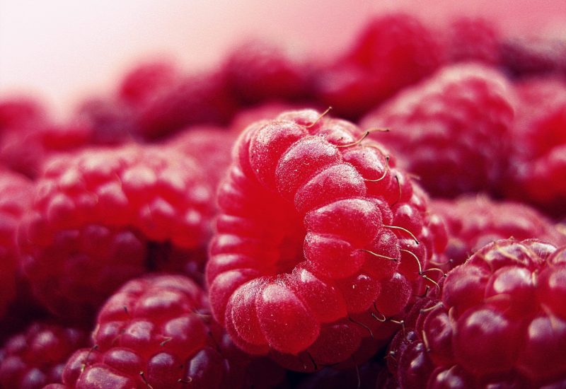 Raspberries for the brain health
